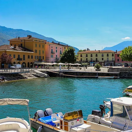 Rose Rossa Florentina Garten Eg