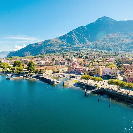 Rose Rossa Florentina Garten Eg * 科利科