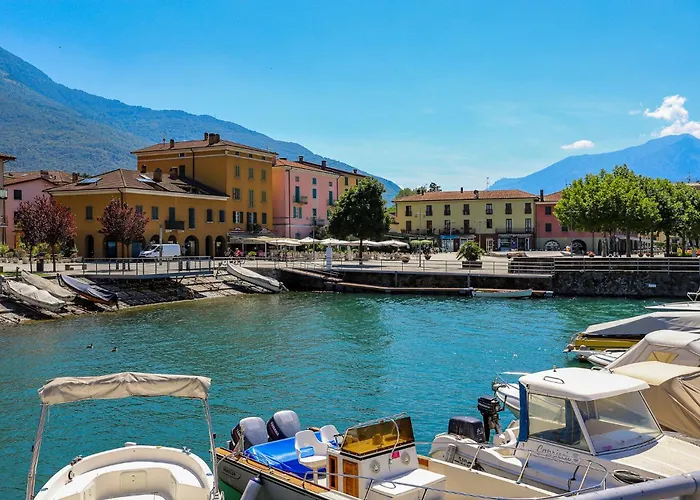 Rose Rossa Florentina Garten Eg