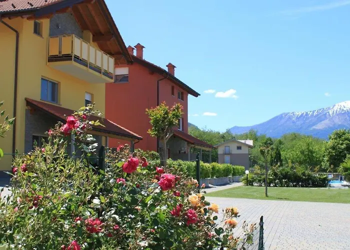 Rose Rossa Florentina Garten Eg